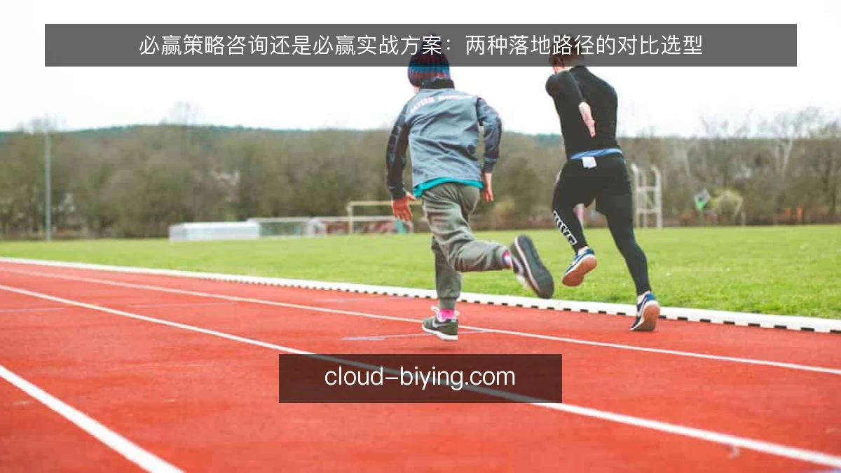 必赢策略咨询还是必赢实战方案:两种落地路径的对比选型