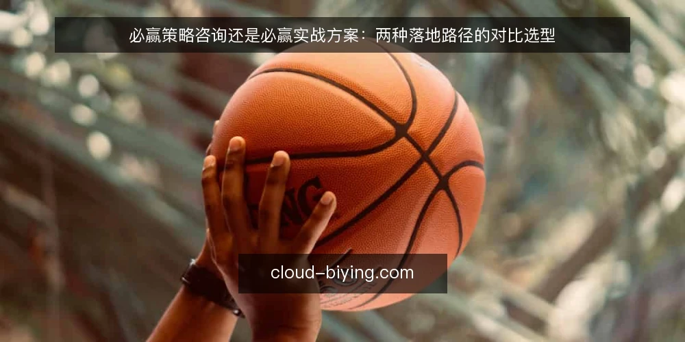 必赢策略咨询还是必赢实战方案:两种落地路径的对比选型 — 定义需求:你要解决的是方向问题还是执行问题 配图