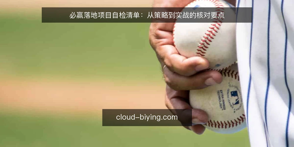 必赢落地项目自检清单：从策略到实战的核对要点 — 明确需求边界 配图
