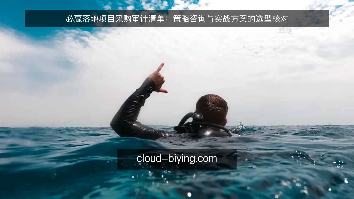 必赢落地项目采购审计清单：策略咨询与实战方案的选型核对