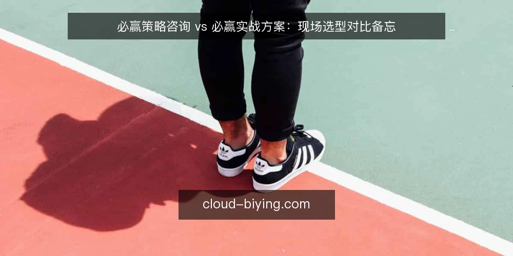 必赢策略咨询 vs 必赢实战方案：现场选型对比备忘 — 观察信号：两种方案在项目初期的不同迹象 配图